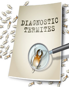 diagnostic termites
