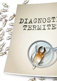 diagnostic termite